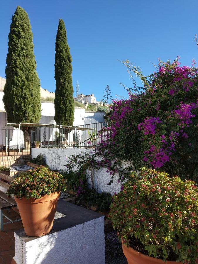 Cielo Del Albayzin Daire Granada Dış mekan fotoğraf